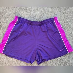 Nike Women's Vibrant Purple & Pink Running  Athletic Shorts Sz Large